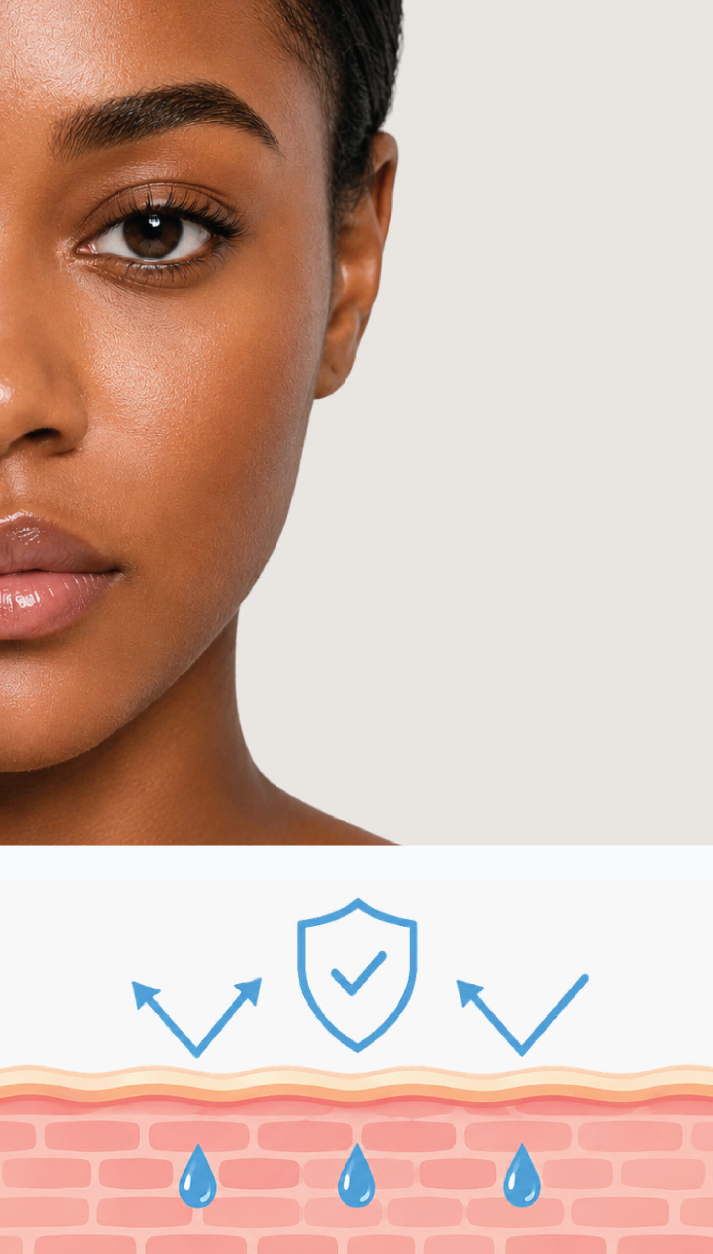 Illustration showing a healthy skin barrier
